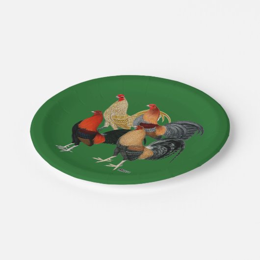 Vier Gamecocks Pappteller (Schrägansicht)