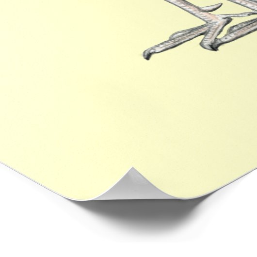 Vier Gamecocks Poster (Ecke)