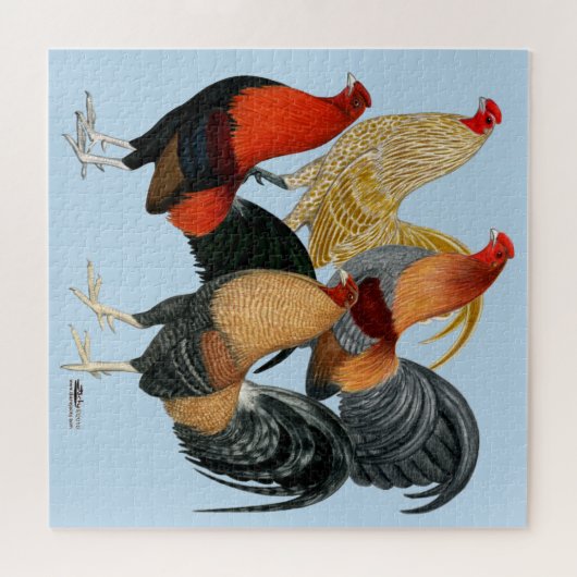 Vier Gamecocks Puzzle (Horizontal)