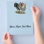 Vier Gamefowl Hennen Flyer (Hand)