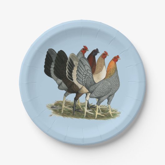 Vier Gamefowl Hennen Pappteller (Vorderseite)