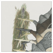 Vier Gamefowl Hennen Stoff (Nahaufnahme)