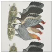 Vier Gamefowl Hennen Stoff (Muster)