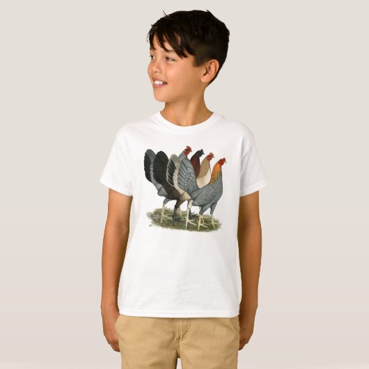 Vier Gamefowl Hennen T-Shirt (Vorne ganz)