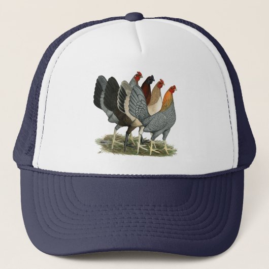Vier Gamefowl Hennen Truckerkappe (Vorderseite)