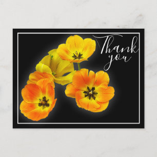Vier gelbe Orange Tulips Schwarzer Hintergrund Vie Postkarte