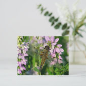 Vier-gepunktete Chaser-Dragonfly Postkarte (Stehend Vorderseite)