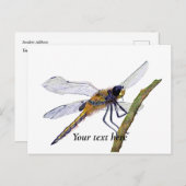 Vier-Gepunktete Chaser Dragonfly Wasserfarbe Postk Postkarte (Vorne/Hinten)