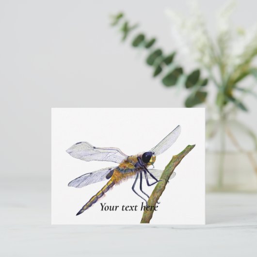 Vier-Gepunktete Chaser Dragonfly Wasserfarbe Postk Postkarte (Stehend Vorderseite)