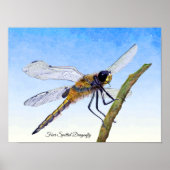 Vier-Gepunktete Chaser Dragonfly Wasserfarbenposte Poster (Vorne)