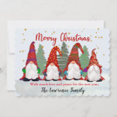 Vier Gnome zu Weihnachten im Schnee (Vorderseite)