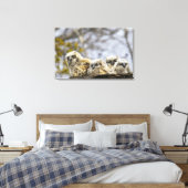 Vier große Hornhühner (Bubo Virginianus) Leinwanddruck (Insitu (Schlafzimmer))