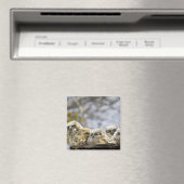 Vier große Hornhühner (Bubo Virginianus) Magnet (In Situ (Geschirrspüler))