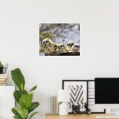 Vier große Hornhühner (Bubo Virginianus) Poster (Heimbüro)