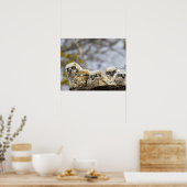 Vier große Hornhühner (Bubo Virginianus) Poster (Küche)