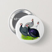 Vier Guinea Button (Vorne & Hinten)