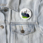 Vier Guinea Button (Beispiel)
