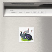 Vier Guinea Magnet (In Situ (Geschirrspüler))