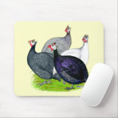 Vier Guinea Mousepad (Mit Mouse)