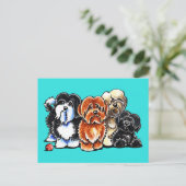 Vier Havanese Postkarte (Stehend Vorderseite)