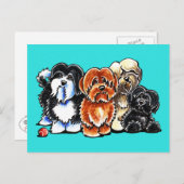 Vier Havanese Postkarte (Vorne/Hinten)
