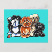 Vier Havanese Postkarte (Vorderseite)
