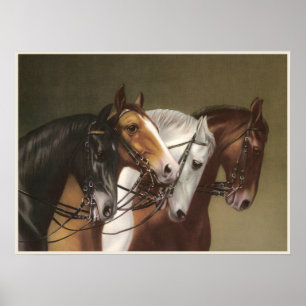 VIER HORSES Fine Art Poster