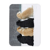 Vier Hunde im Schnee Magnet (Vertikal)