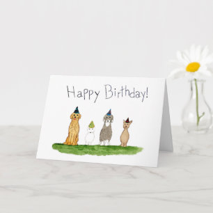 Vier Hunde mit Partyhüten Geburtstag Karte