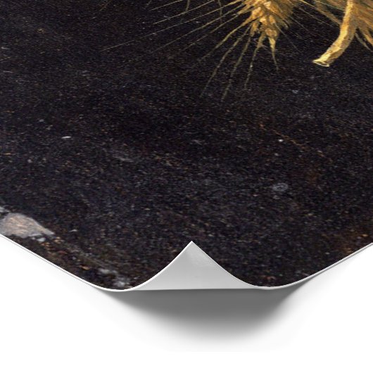 Vier Jahreszeiten in einem Kopf von Giuseppe Arcim Poster (Ecke)