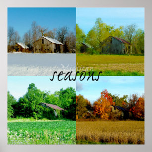 Vier Jahreszeiten in Michigan Poster