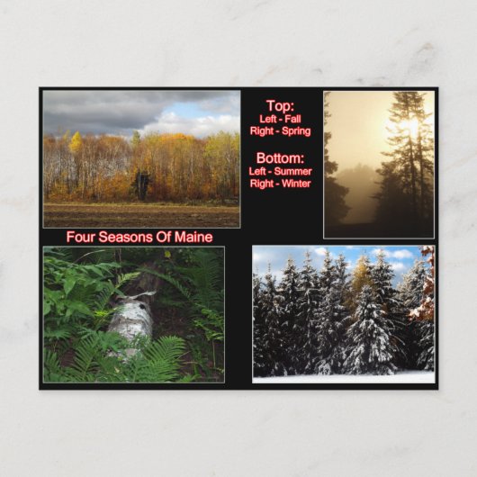 Vier Jahreszeiten Maine Postkarte (Vorderseite)
