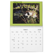 Vier Jahreszeiten von Katzen-Klugheit 101 Kalender (Mär 2026)