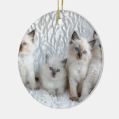 Vier junge Ragdoll Katzen, die in Folge sitzen Keramik Ornament (Links)