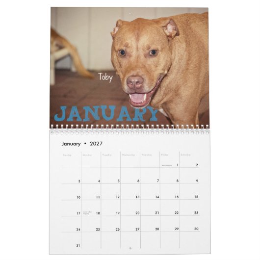 Vier Kalender der Tatzen-2014 (Jan 2027)