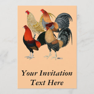 Vier Kampfhähne Einladung