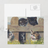 Vier Kätzchen spielen Vintage Illustration Postkarte (Vorne/Hinten)