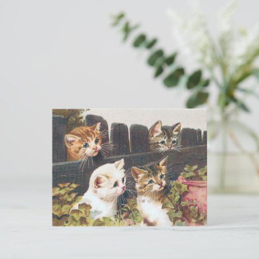 "Vier Kätzchen" Vintag Postkarte (Stehend Vorderseite)