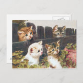 "Vier Kätzchen" Vintag Postkarte (Vorne/Hinten)