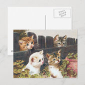 "Vier Kätzchen" Vintage Postkarte (Vorne/Hinten)