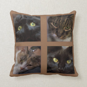 Vier Katzen von Miriam Kilmer Kissen