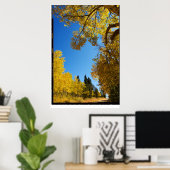 Vier-Kilometer-Straße, Krippelkreuz, Colorado-Post Poster (Heimbüro)