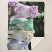 VIER KITTEN SHERPADECKE (Vorderseite)