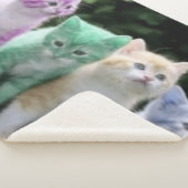 VIER KITTEN SHERPADECKE (3/4)