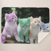 VIER KITTEN SHERPADECKE (Vorderseite (Horizontal))