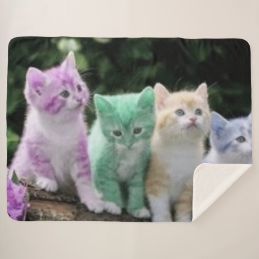 VIER KITTEN SHERPADECKE (Vorderseite (Horizontal))