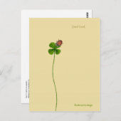 Vier Klee und Ladybug - Viel Glück Postkarte (Vorne/Hinten)