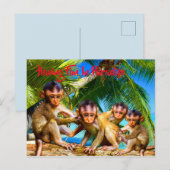 Vier kleine Affen Postkarte (Vorne/Hinten)