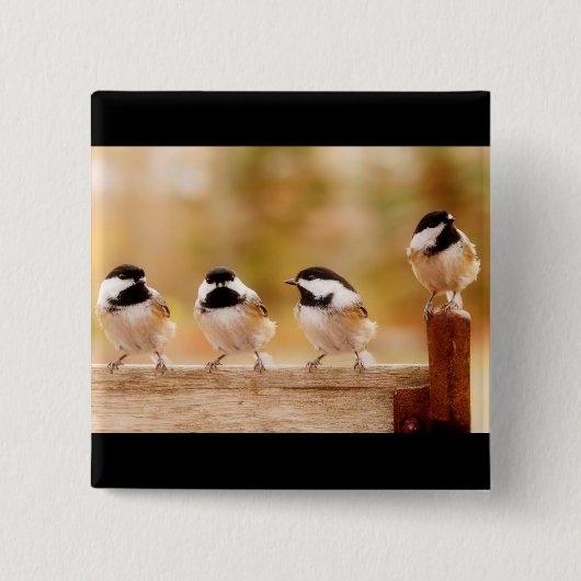 Vier kleine Chickadees Button (Vorderseite)