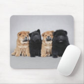 Vier kleine Chow Chow Welpen Mousepad (Mit Mouse)